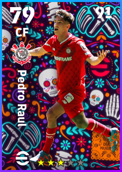 Pedro Raul