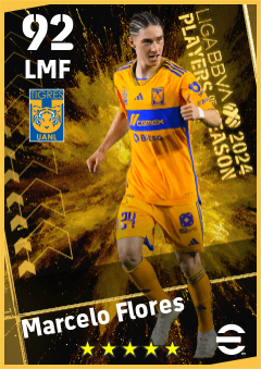 Marcelo Flores