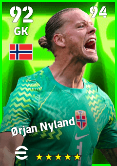 エルヤン ニーラン