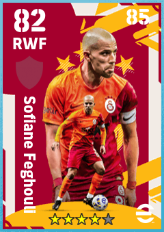 Sofiane Feghouli