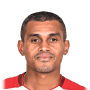 N. QUINA PES 2014 portrait