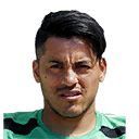 VELOZO PES 2011 portrait