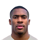 LANDRE PES 2013 portrait