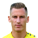 BIRSA PES 2013 portrait
