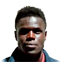 GENEVOIS PES 2014 portrait