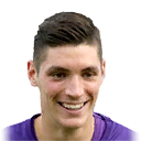 N. MILENKOVIĆ PES 2020 portrait