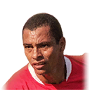 GILBERTO SILVA PES 2014 portrait