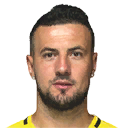 D. SUBAŠIĆ PES 2016 portrait