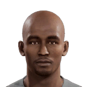 BENSCHOP PES 2011 portrait