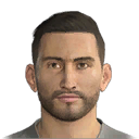 ZLATINSKI PES 2014 portrait