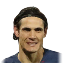 E. CAVANI