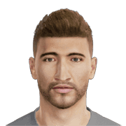 N. SÁNCHEZ PES 2016 portrait