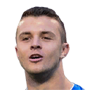 A. HODŽIĆ PES 2016 portrait