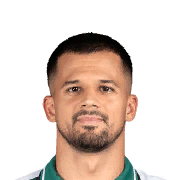 ĆALUŠIĆ PES 2013 portrait