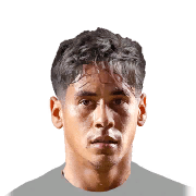 JOSÉ ALDO PES 2020 portrait