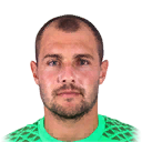 ARKOL PES 2015 portrait