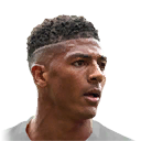 P. VAN AANHOLT