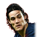 E. CAVANI